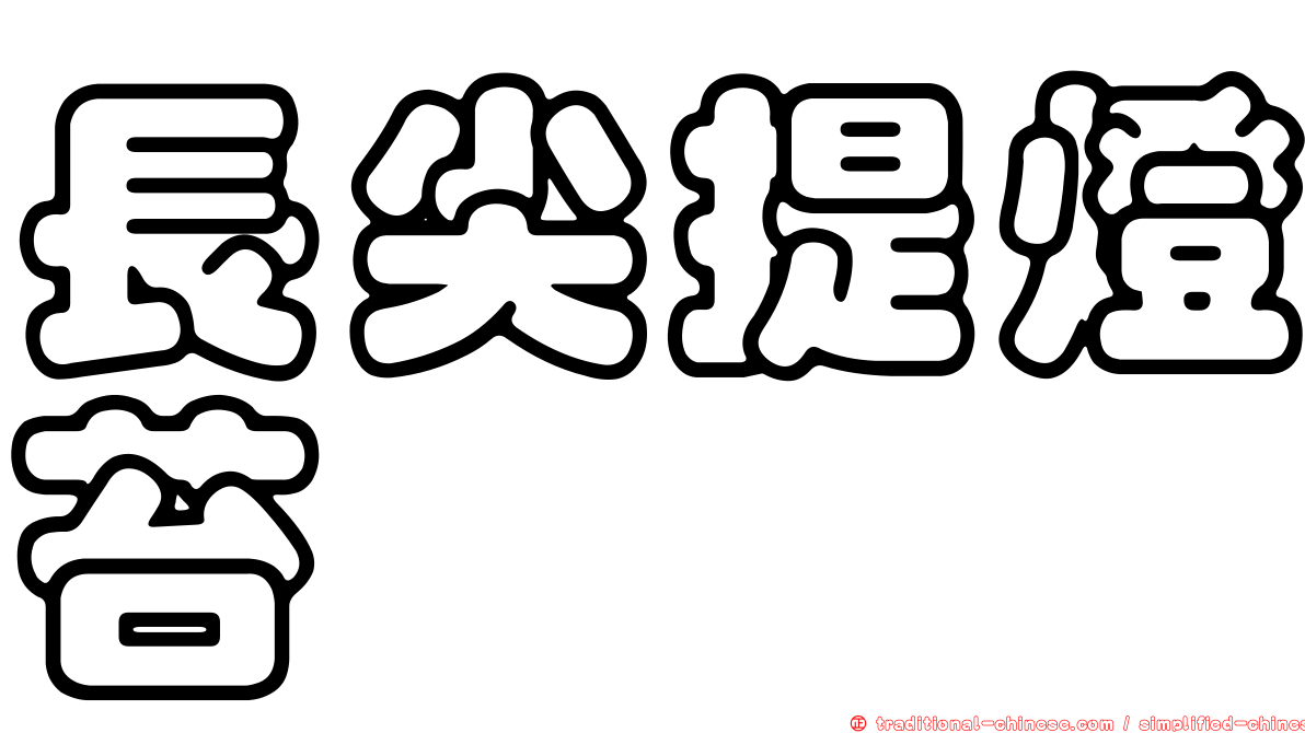 長尖提燈苔