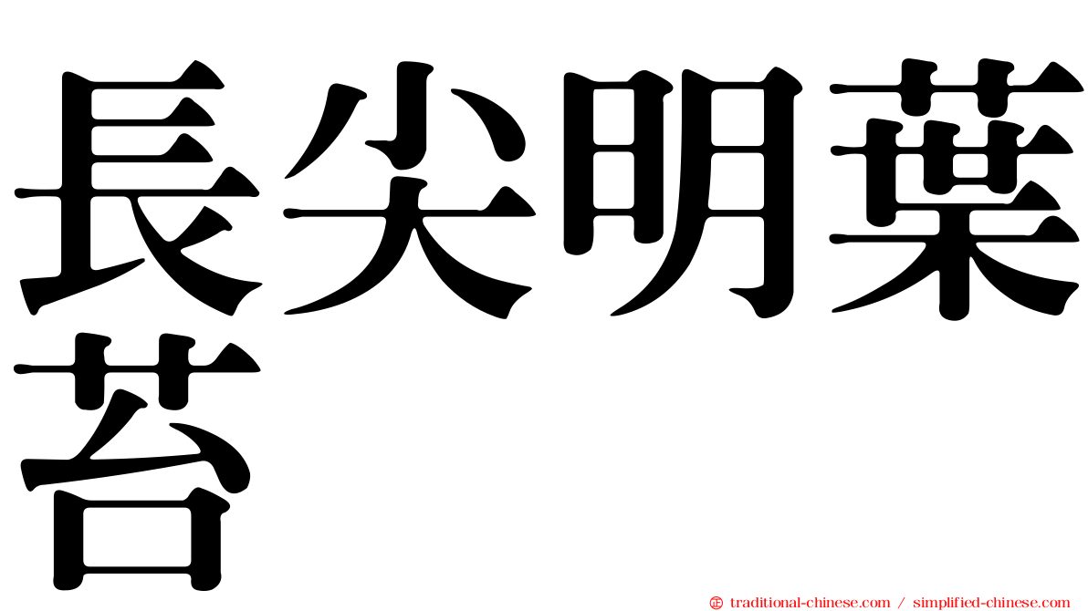 長尖明葉苔