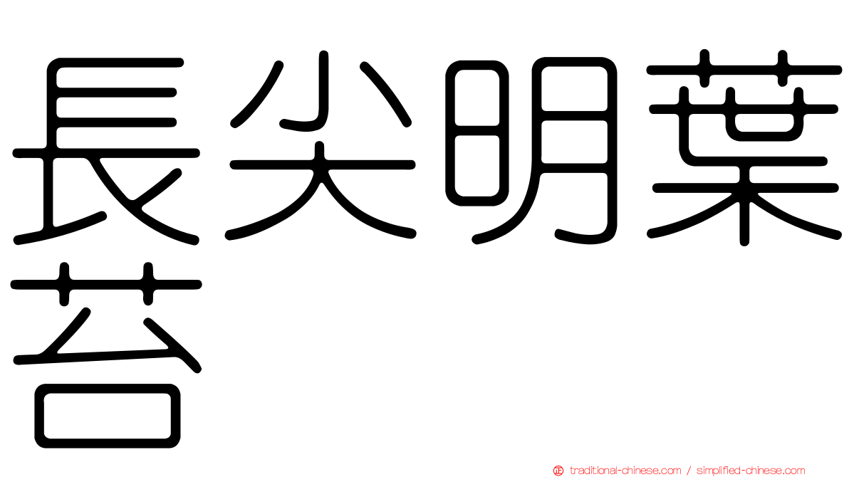 長尖明葉苔