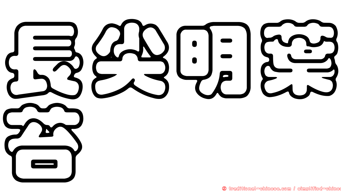 長尖明葉苔