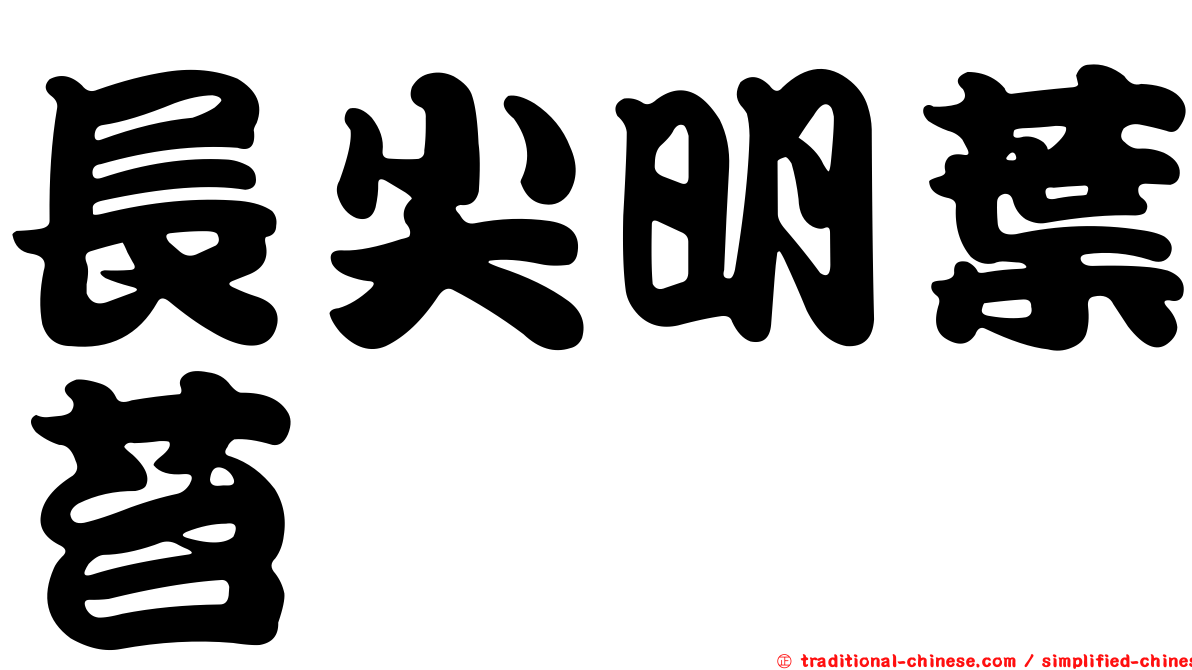 長尖明葉苔