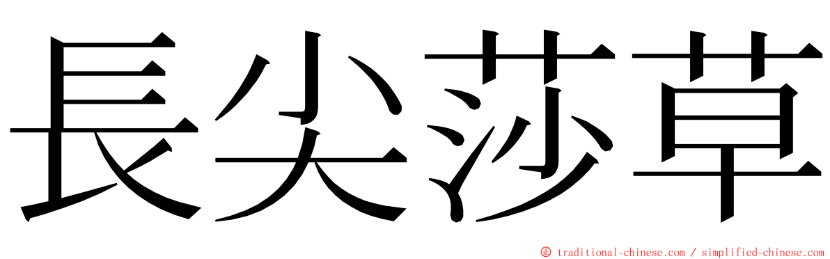 長尖莎草 ming font