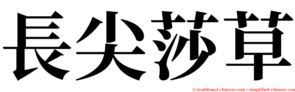 長尖莎草 serif font