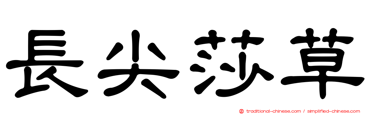 長尖莎草