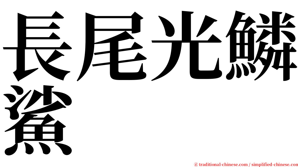 長尾光鱗鯊 serif font