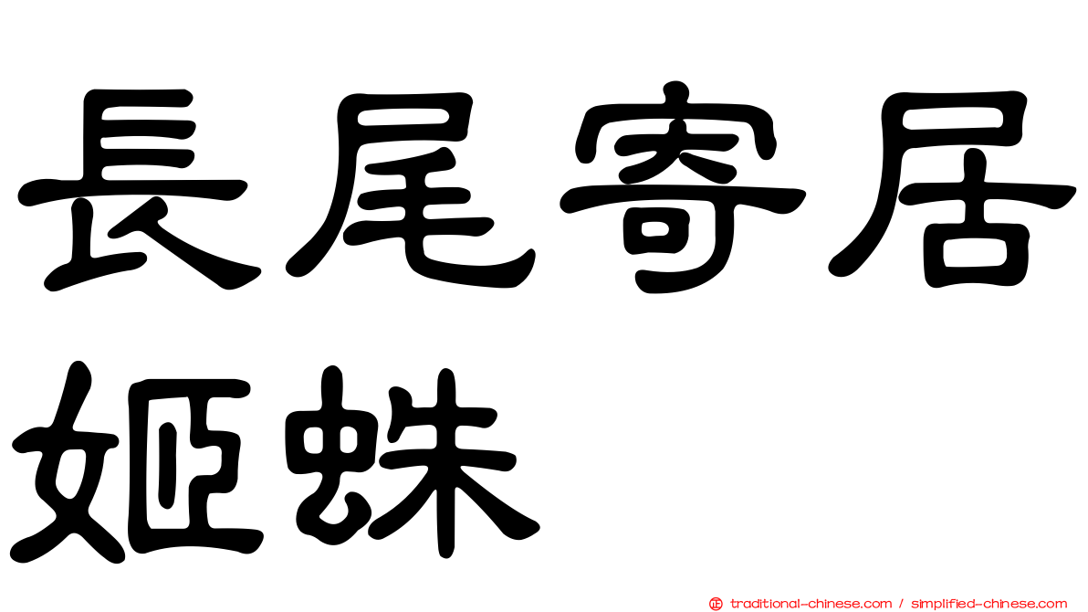 長尾寄居姬蛛