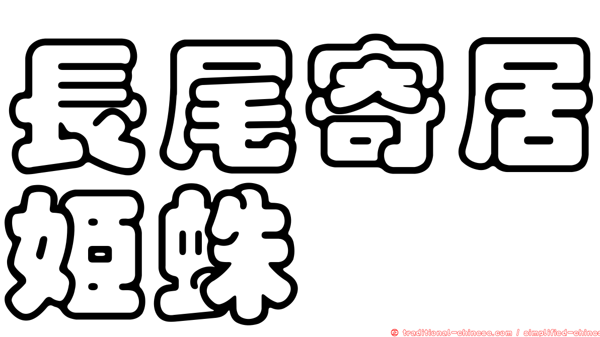 長尾寄居姬蛛