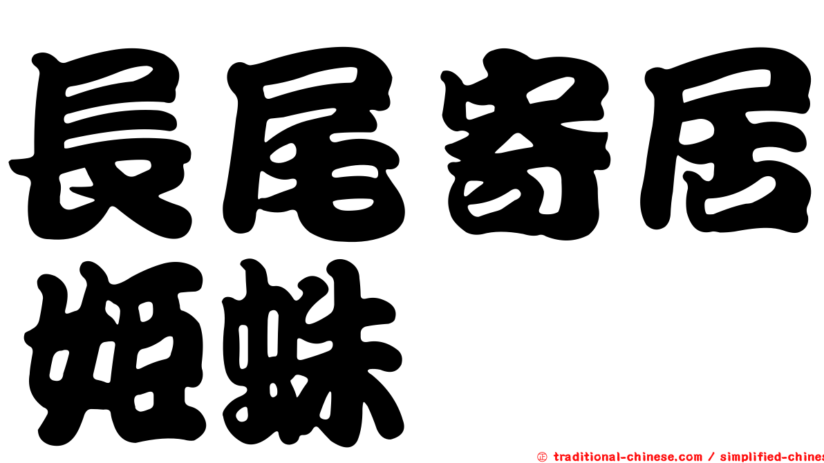 長尾寄居姬蛛