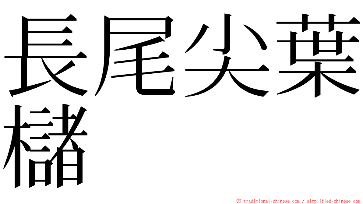 長尾尖葉櫧 ming font