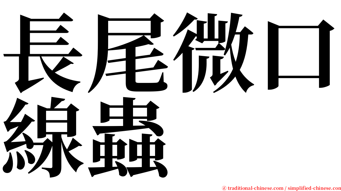 長尾微口線蟲 serif font