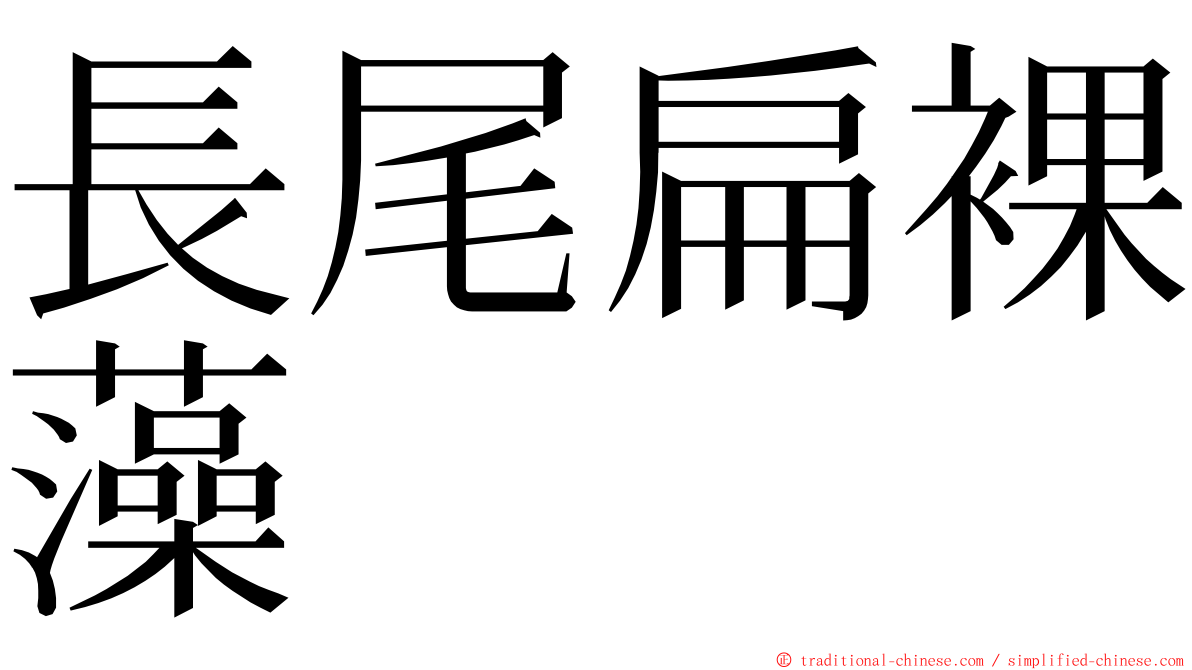 長尾扁裸藻 ming font