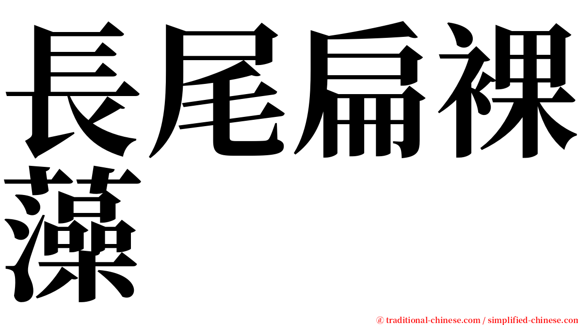 長尾扁裸藻 serif font