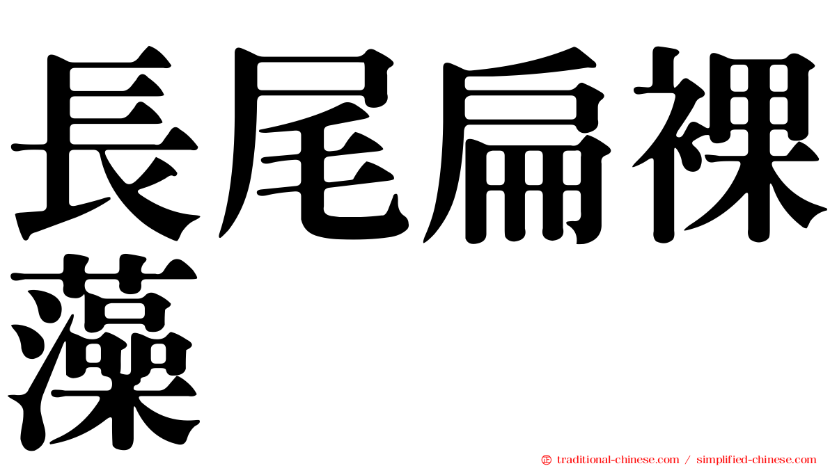 長尾扁裸藻