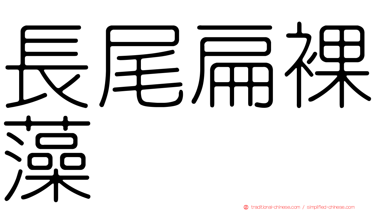 長尾扁裸藻