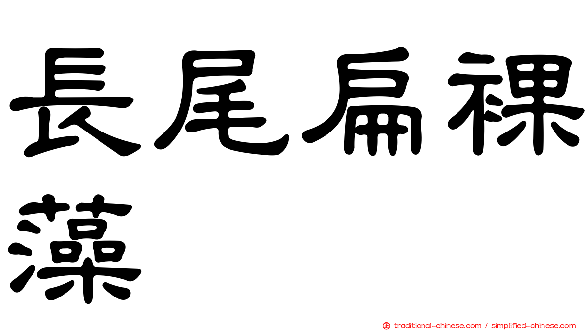 長尾扁裸藻