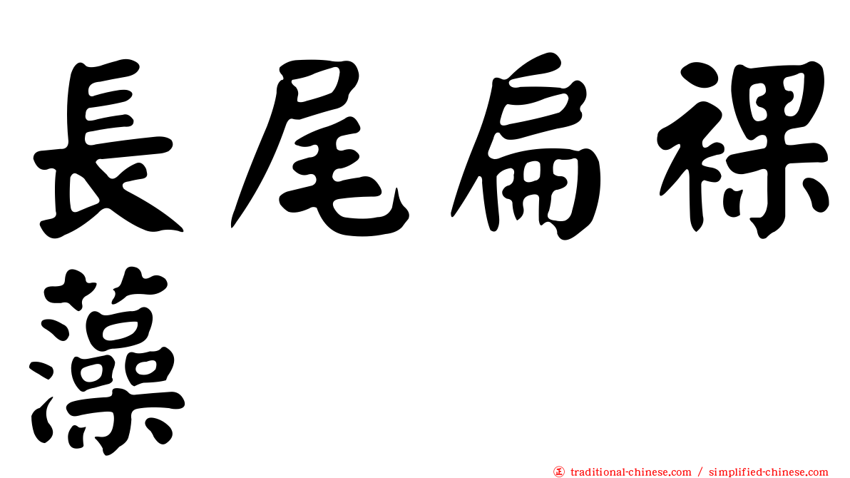 長尾扁裸藻