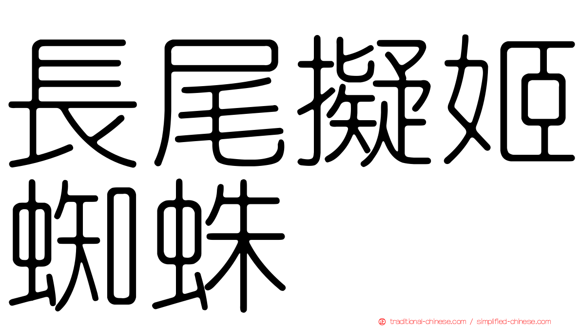 長尾擬姬蜘蛛