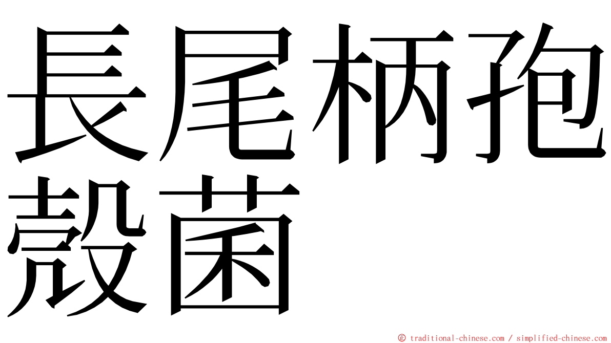 長尾柄孢殼菌 ming font