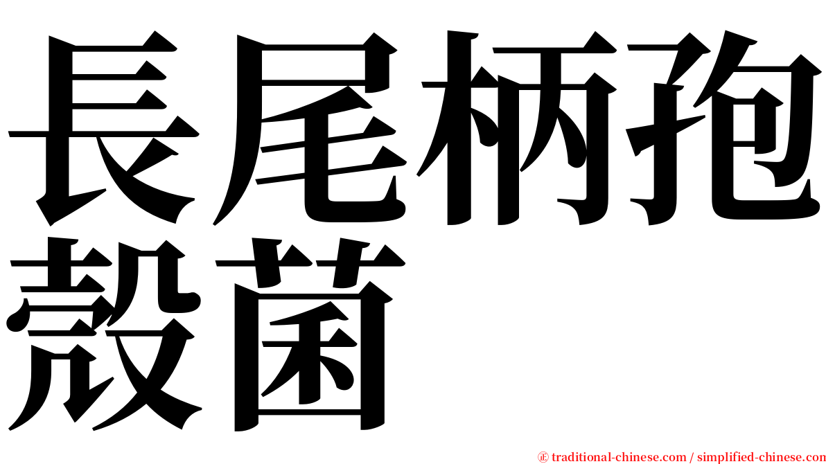 長尾柄孢殼菌 serif font