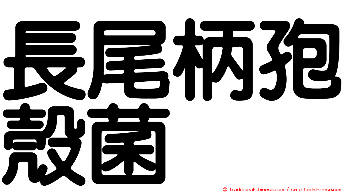 長尾柄孢殼菌