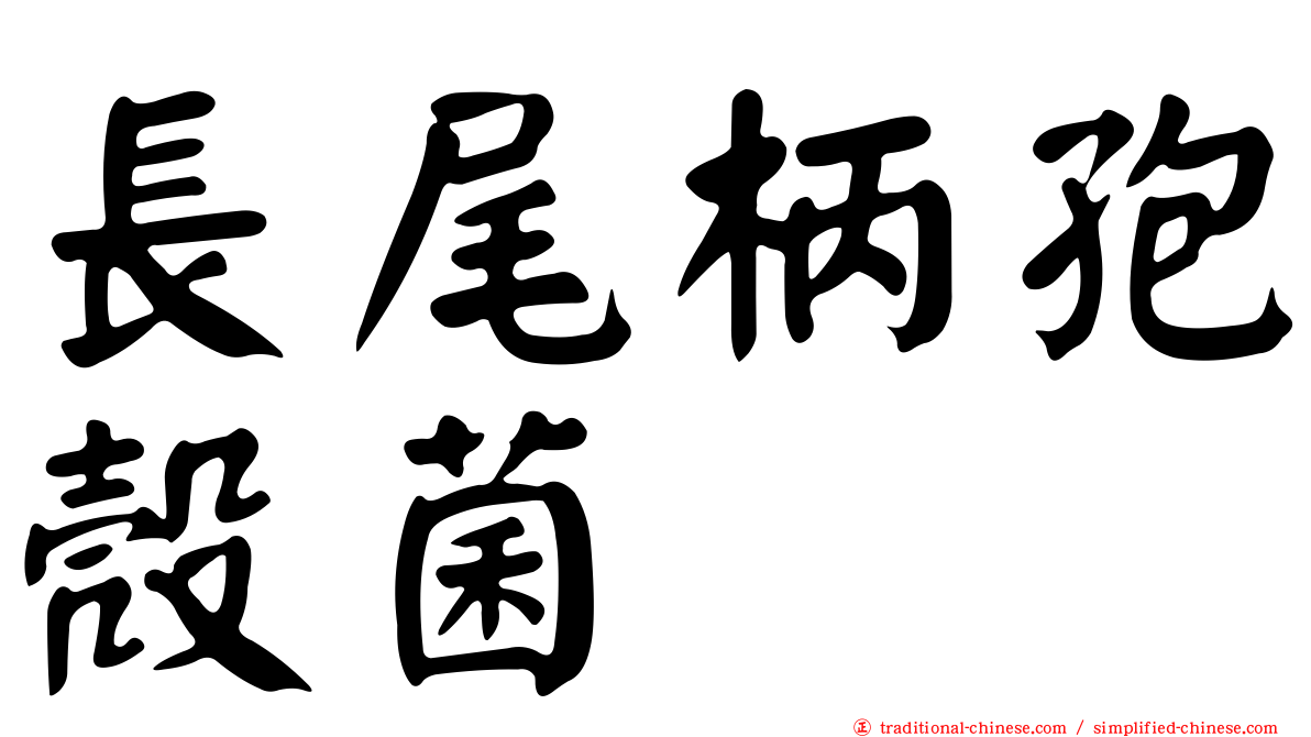 長尾柄孢殼菌