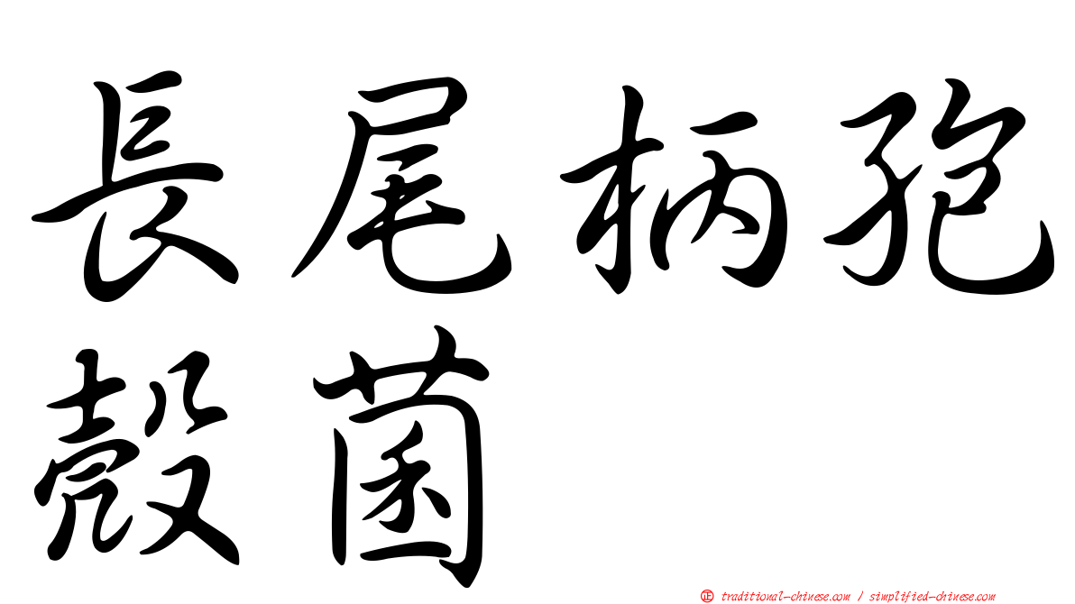 長尾柄孢殼菌