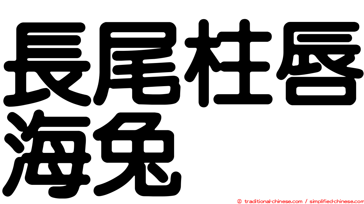 長尾柱唇海兔