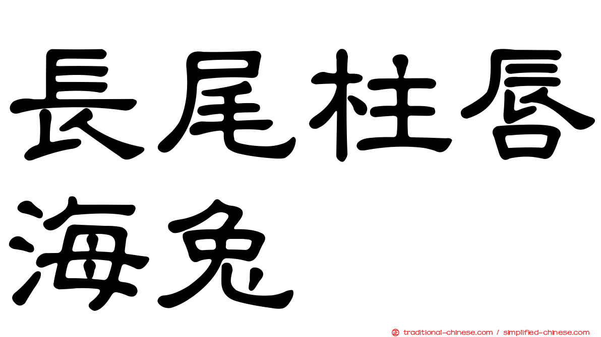長尾柱唇海兔