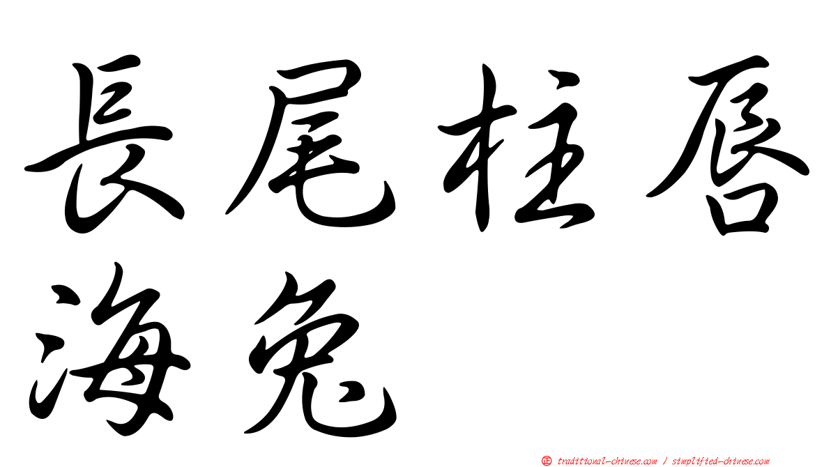 長尾柱唇海兔