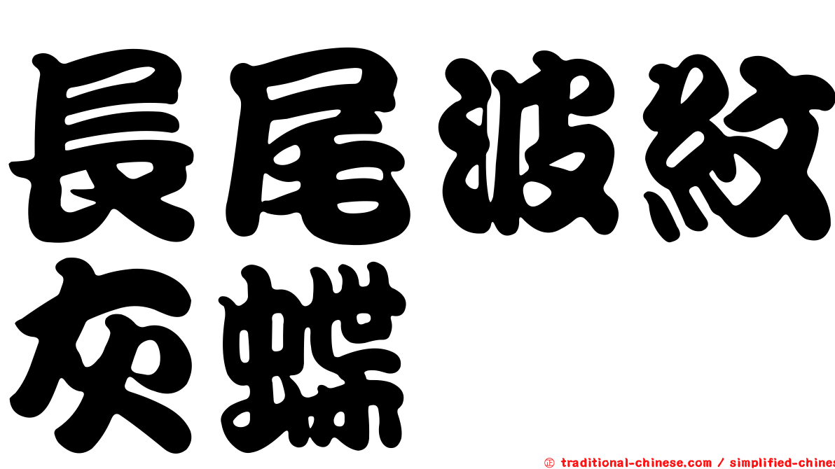 長尾波紋灰蝶
