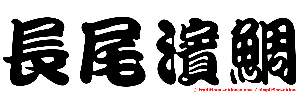長尾濱鯛