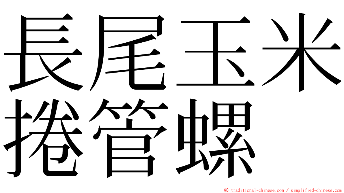 長尾玉米捲管螺 ming font