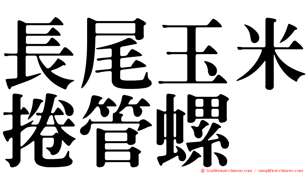 長尾玉米捲管螺