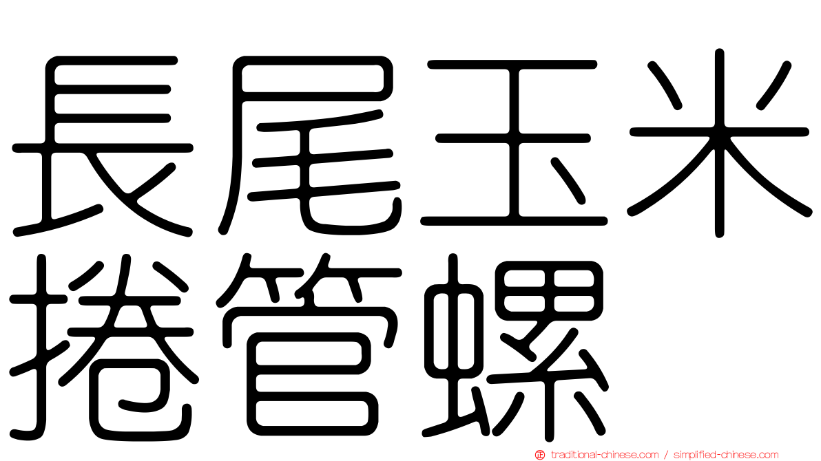 長尾玉米捲管螺
