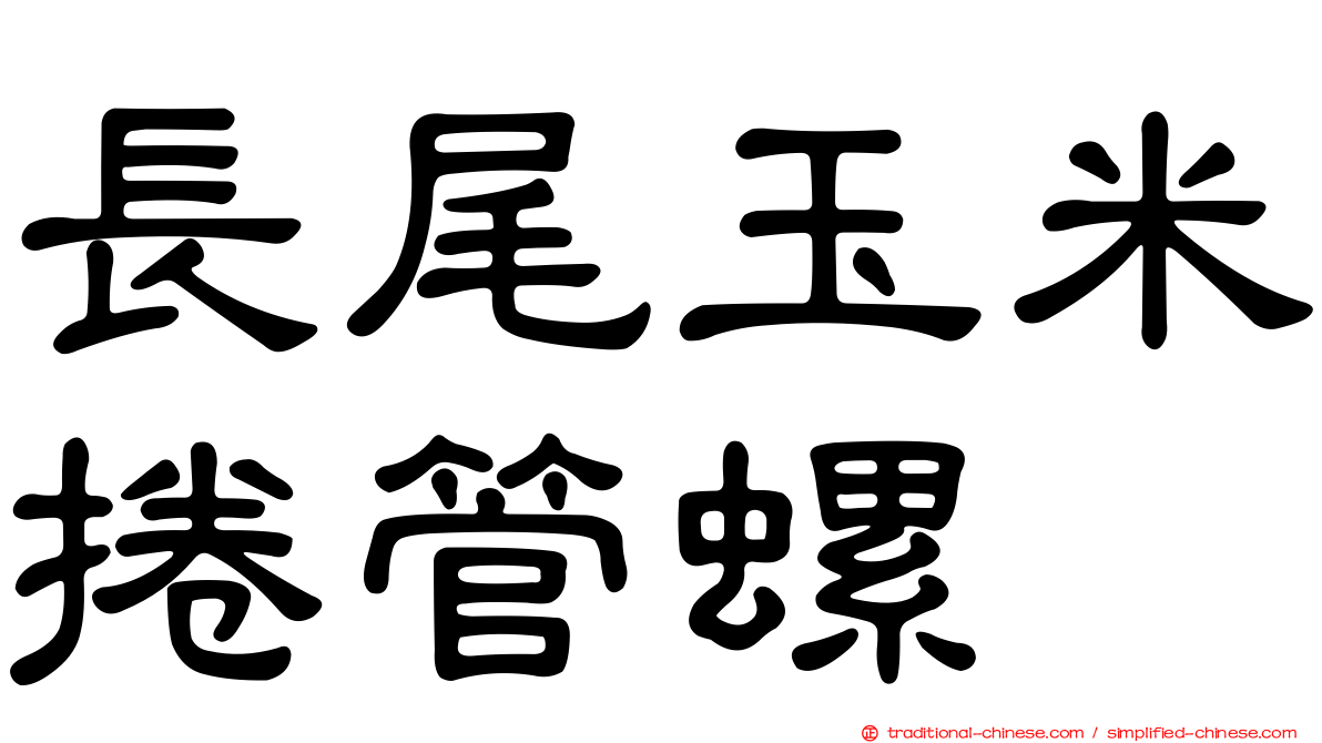 長尾玉米捲管螺