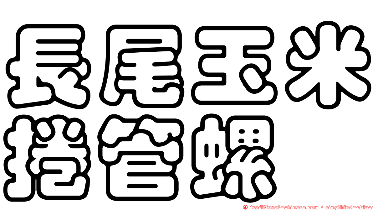 長尾玉米捲管螺