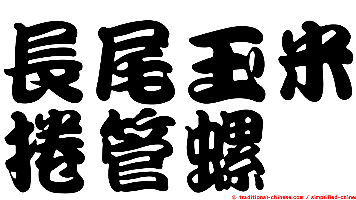 長尾玉米捲管螺