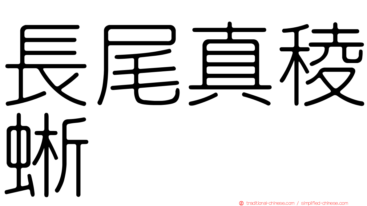 長尾真稜蜥