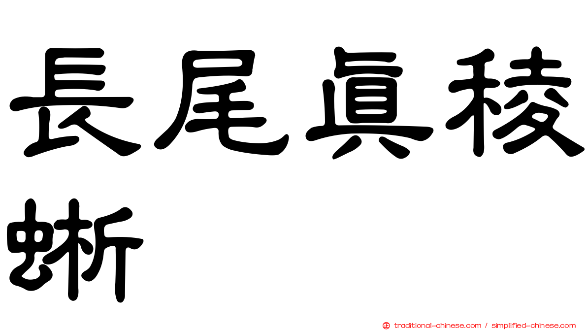 長尾真稜蜥