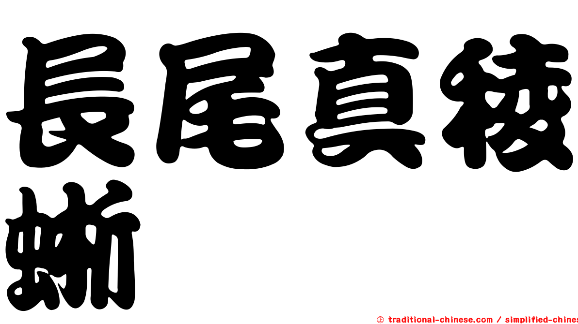 長尾真稜蜥