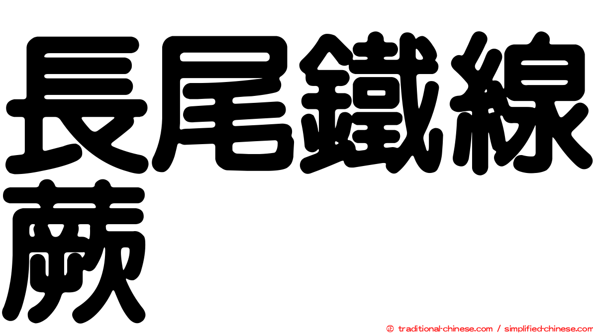 長尾鐵線蕨