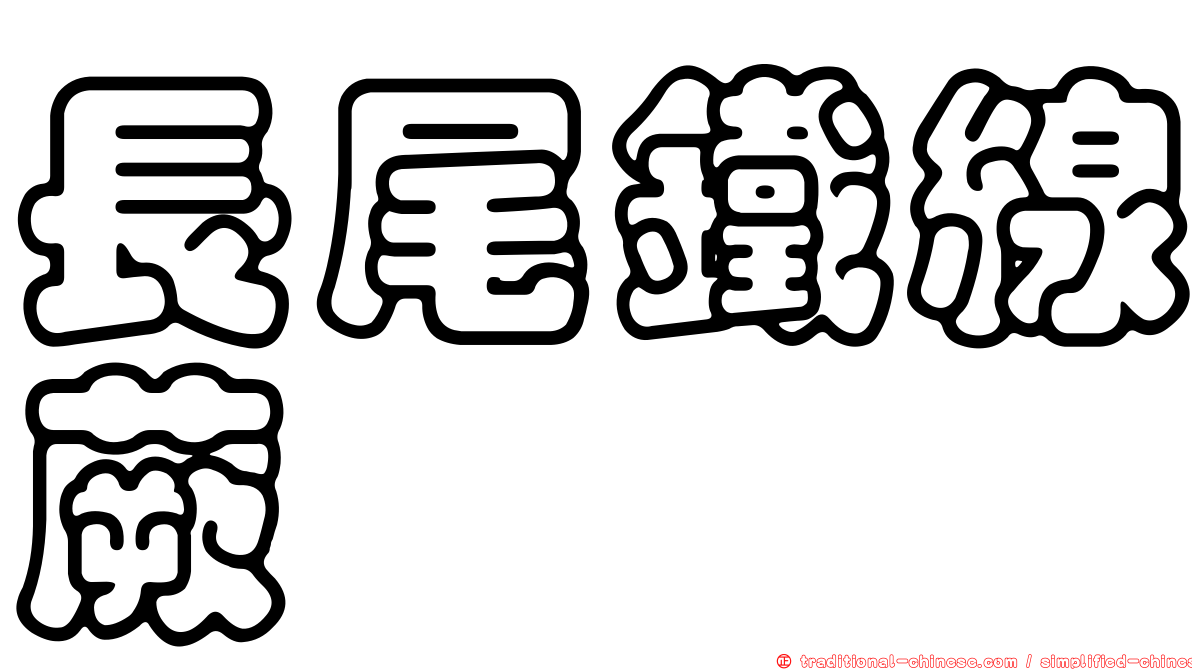 長尾鐵線蕨