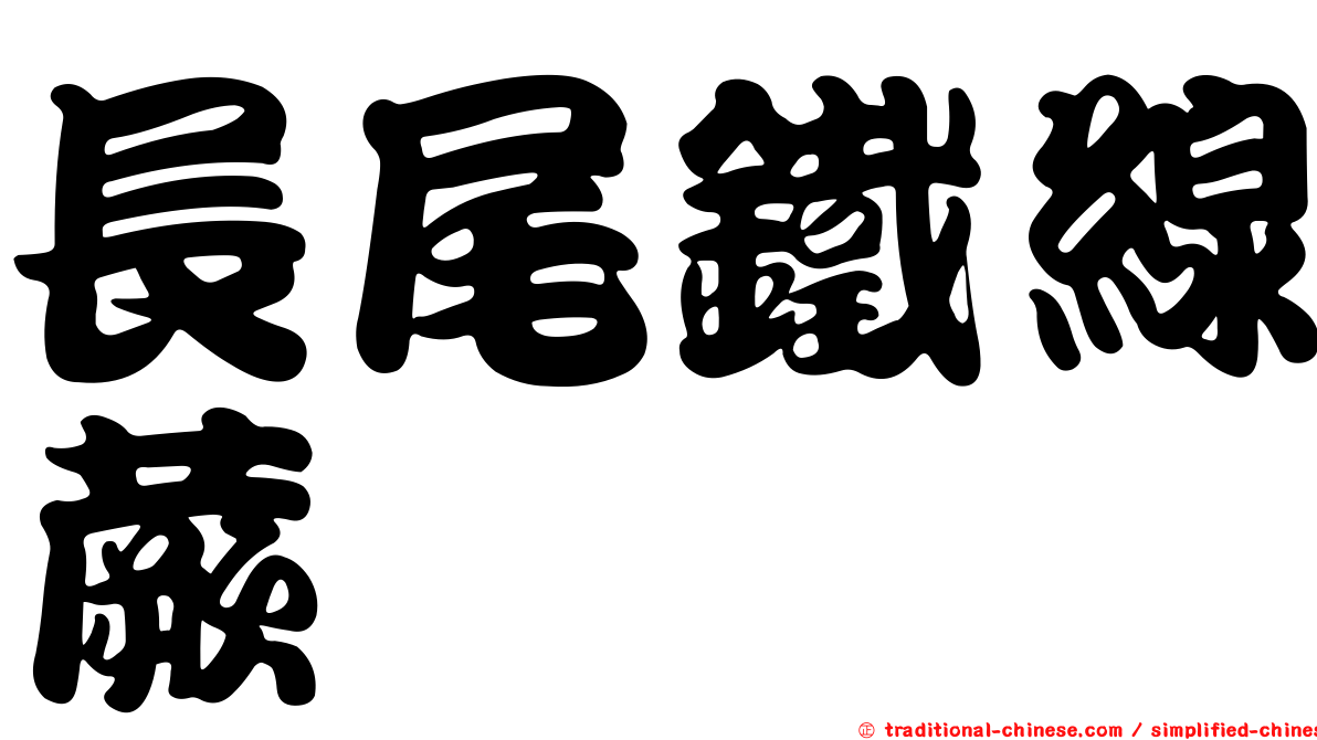 長尾鐵線蕨