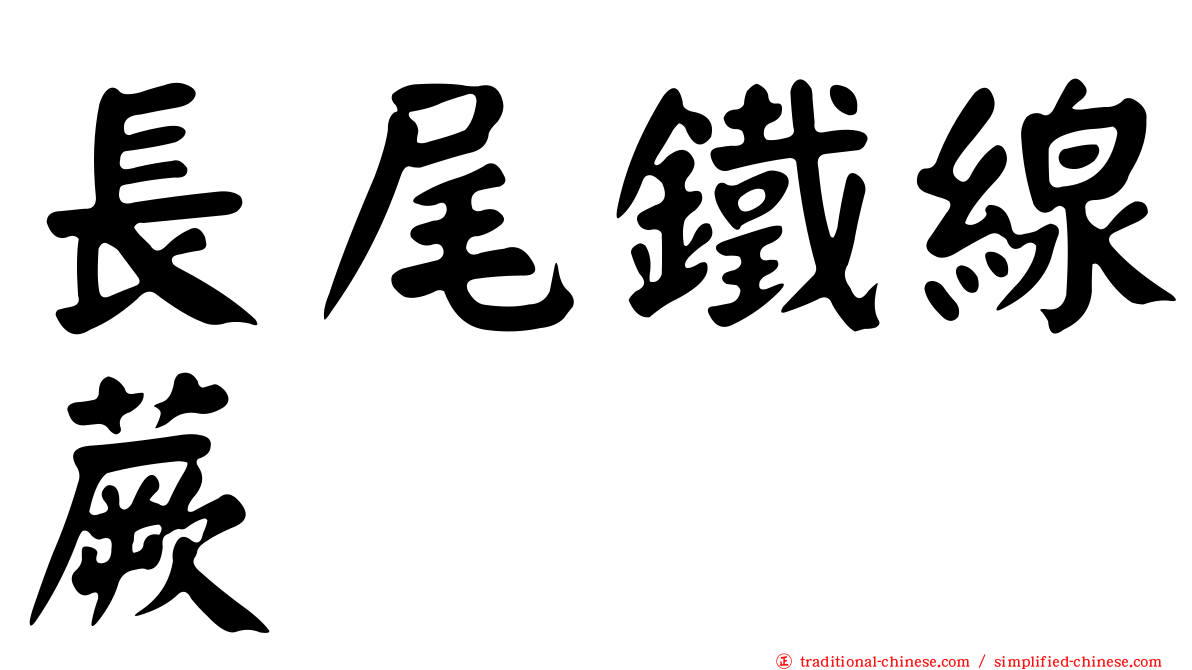 長尾鐵線蕨