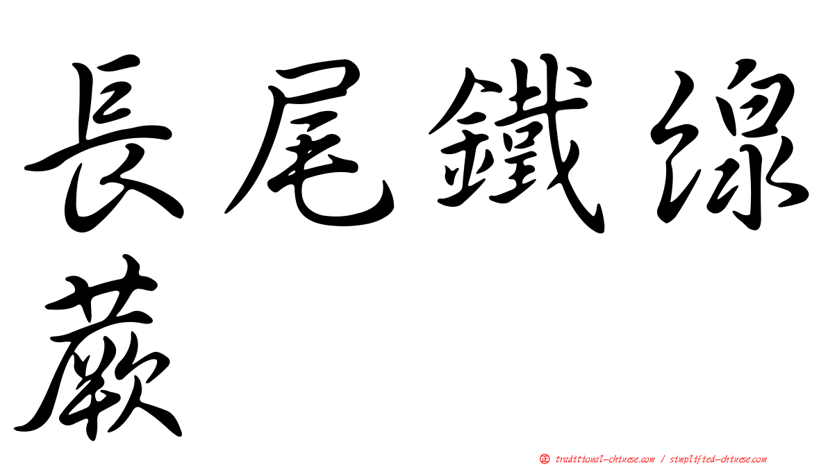 長尾鐵線蕨