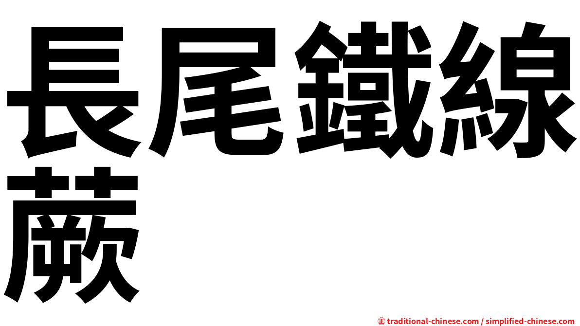 長尾鐵線蕨