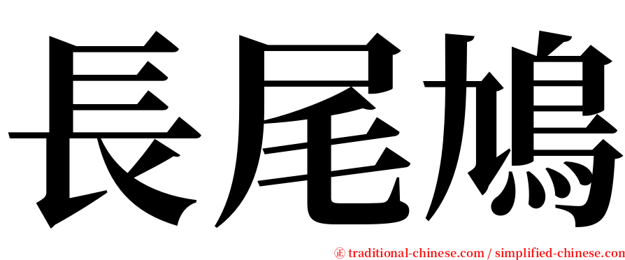 長尾鳩 serif font