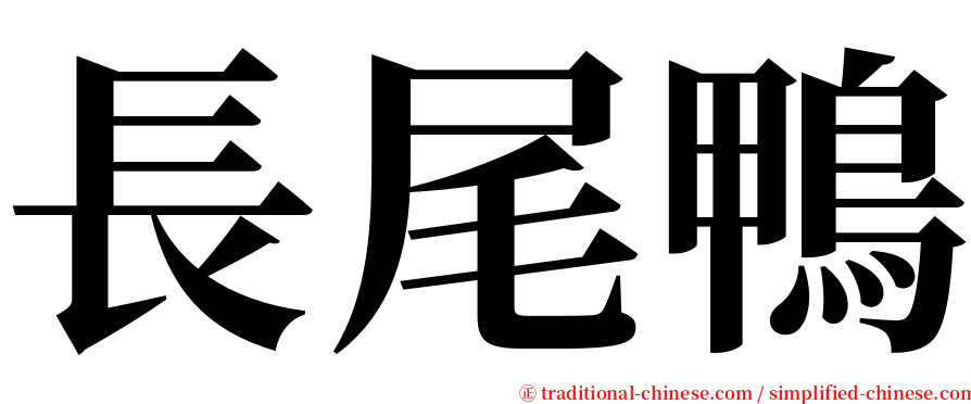 長尾鴨 serif font