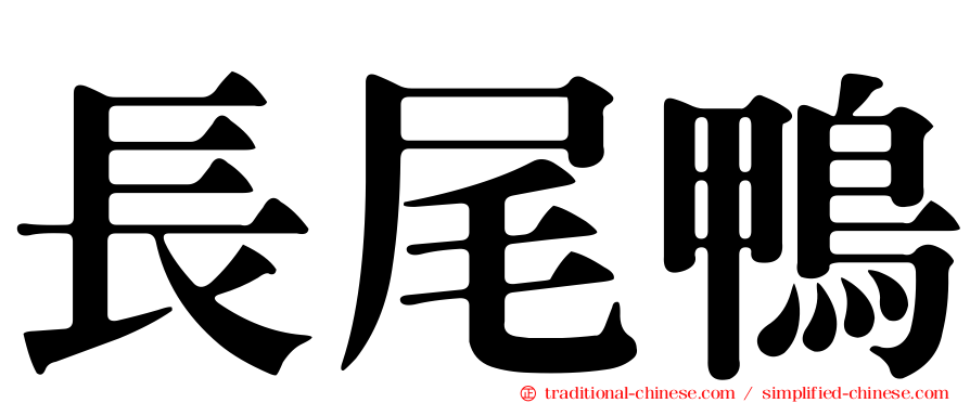 長尾鴨