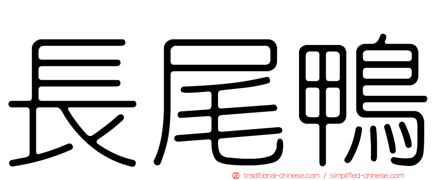 長尾鴨